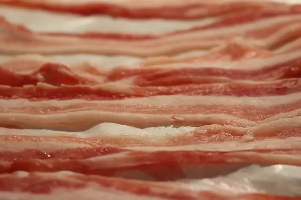 Best Bacon Meat Slicer