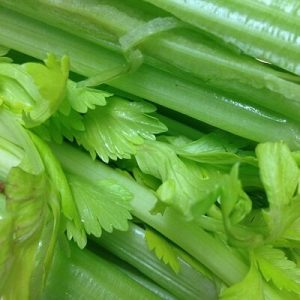 celery juice for weight loss