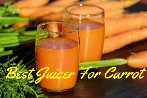 Best Juicer For Carrot