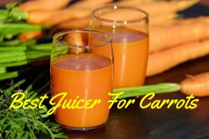 Best Juicer For Carrots
