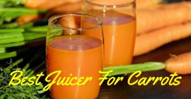 Best Juicer For Carrots