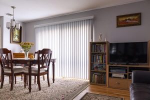 How to clean mould from vertical blinds at home?