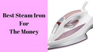 Best steam iron for the money