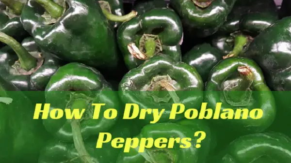 How to Dry Poblano Peppers?