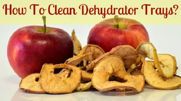 How to clean dehydrator tray