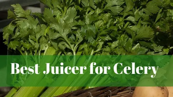 Best juicer for celery