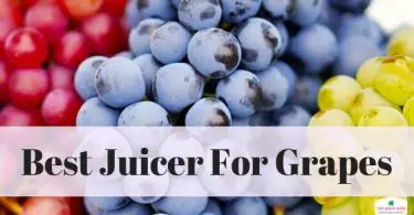 Best Juicer for Grapes
