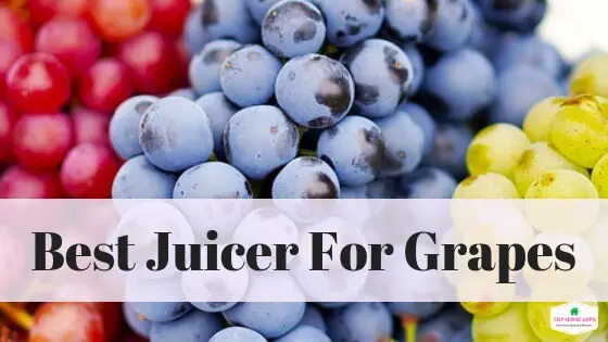 Best Juicer for Grapes