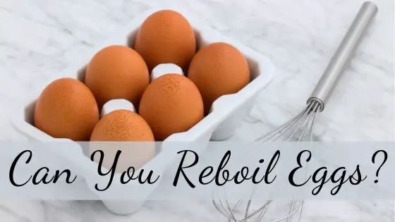can you reboil eggs