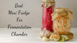 best mini fridge for fermentation chamber