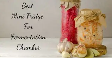 best mini fridge for fermentation chamber
