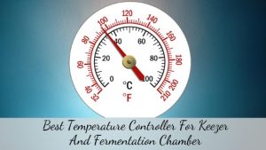 best temperature controller for keezer and fermentation chamber