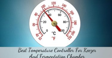 best temperature controller for keezer and fermentation chamber