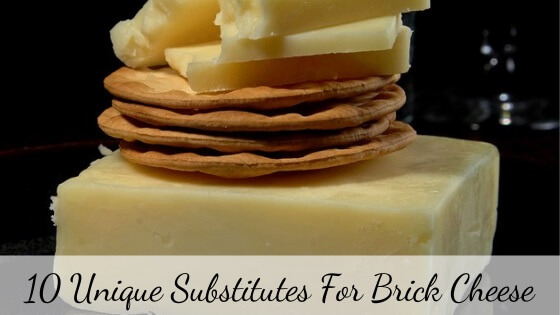 substitutes for Brick cheese