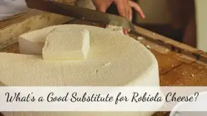 Robiola cheese substitute