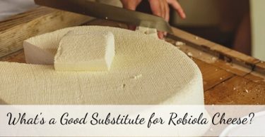 Robiola cheese substitute