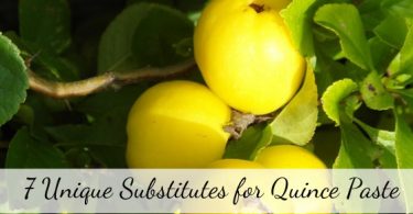 quince paste substitute