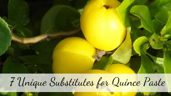 quince paste substitute