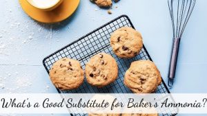 bakers ammonia substitute