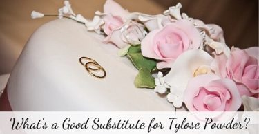 tylose powder substitute