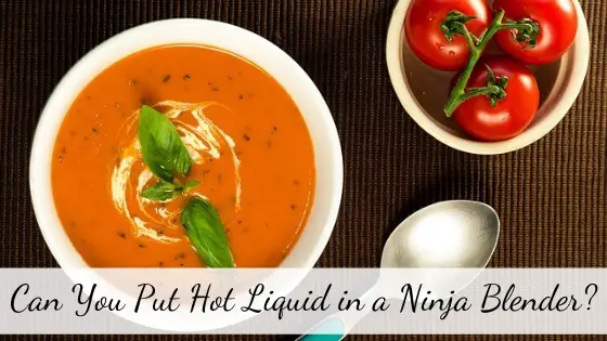 Can you put hot liquid in a Ninja blender