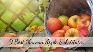 Macoun Apple Substitute