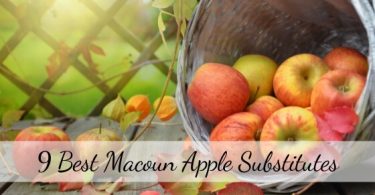 Macoun Apple Substitute