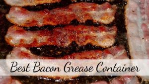 Best bacon grease container