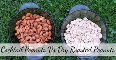 Cocktail Peanuts vs Dry Roasted