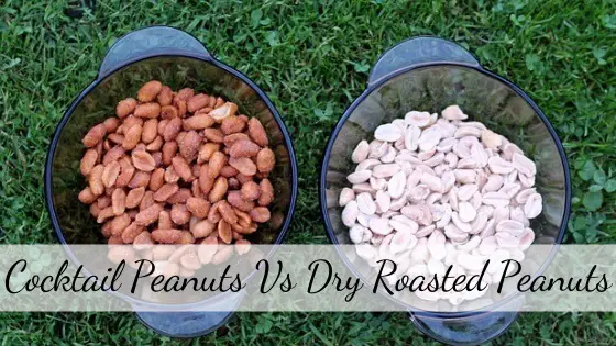 Cocktail Peanuts vs Dry Roasted