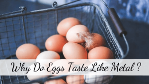 Eggs Taste like Metal