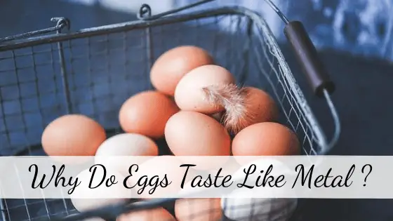 Eggs Taste like Metal
