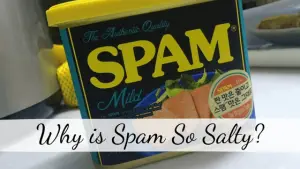 Why is Spam So Salty